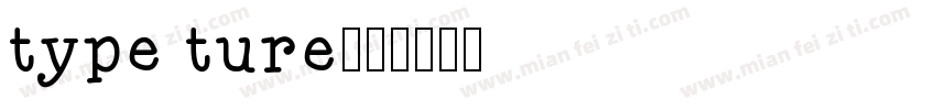 type ture字体转换
